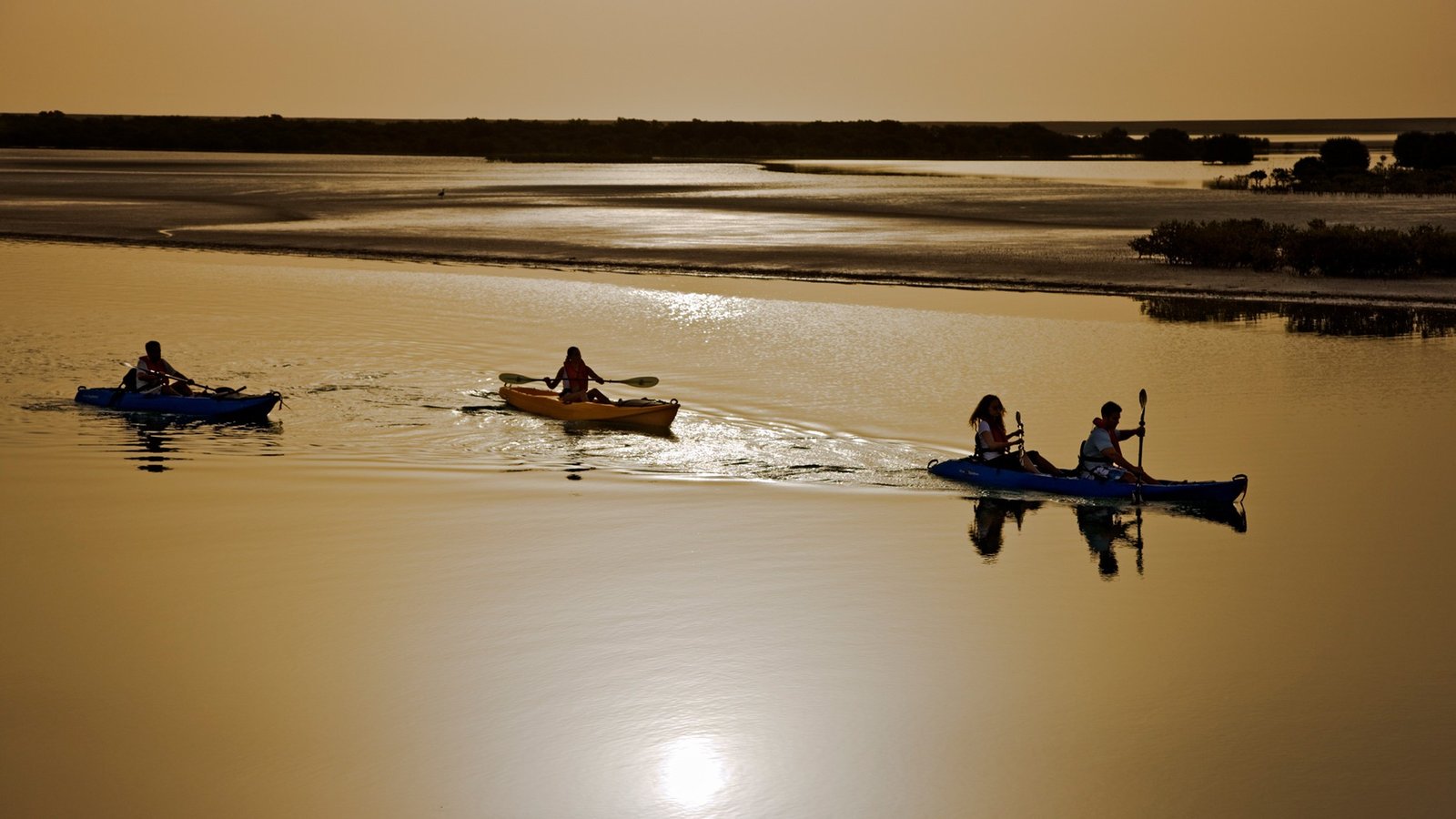 Остров сире. Каяк в Абу-Даби бесплатные фото. Kayak Abu Dhabi’s Eastern Mangroves.